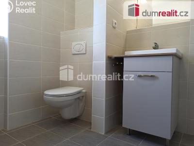 Pronájem bytu 2+1 Ostrov, Jáchymovská 806 č. 16