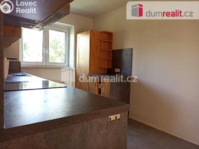 Pronájem bytu 2+1 Ostrov, Jáchymovská 806 č. 18