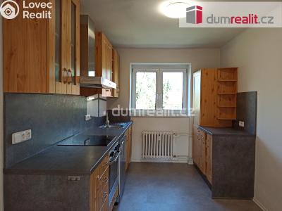 Pronájem bytu 2+1 Ostrov, Jáchymovská 806 č. 19