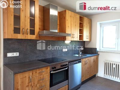 Pronájem bytu 2+1 Ostrov, Jáchymovská 806 č. 20