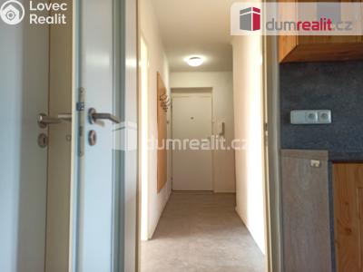 Pronájem bytu 2+1 Ostrov, Jáchymovská 806 č. 32