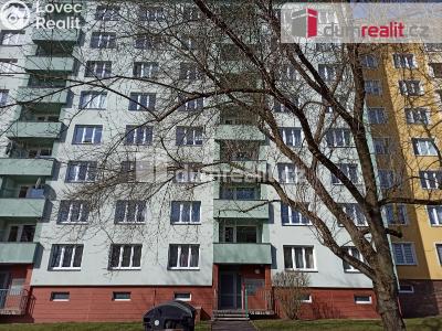 Pronájem bytu 1+1 Ostrov, Kollárova 1270 č. 1