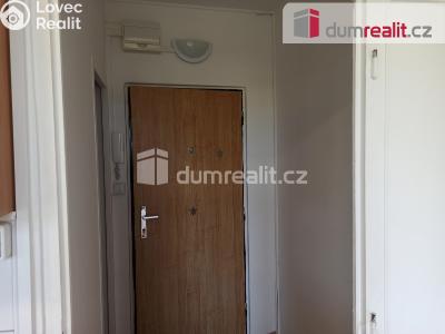 Pronájem bytu 1+1 Ostrov, Kollárova 1270 č. 8