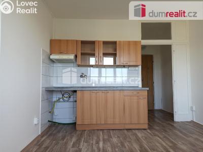 Pronájem bytu 1+1 Ostrov, Kollárova 1270 č. 10