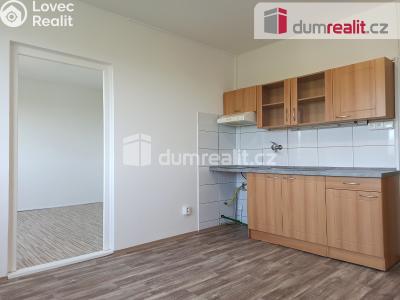 Pronájem bytu 1+1 Ostrov, Kollárova 1270 č. 11