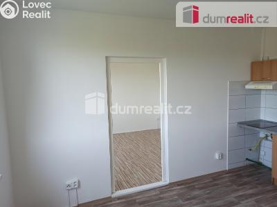 Pronájem bytu 1+1 Ostrov, Kollárova 1270 č. 12