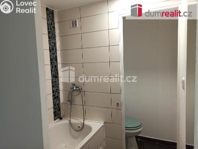 Pronájem bytu 1+1 Ostrov, Kollárova 1270 č. 25