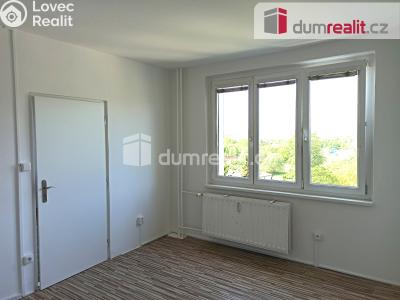 Pronájem bytu 1+1 Ostrov, Kollárova 1270 č. 19