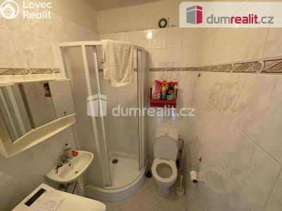 Pronájem bytu 2+1 Lhota u Příbramě č. 4