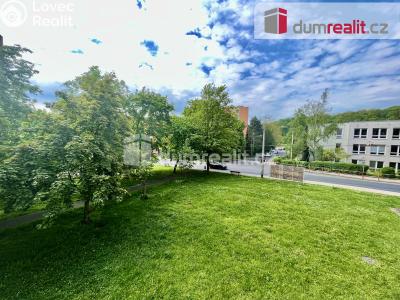 Pronájem bytu 1+1 Ústí nad Labem, Sibiřská 370 č. 8