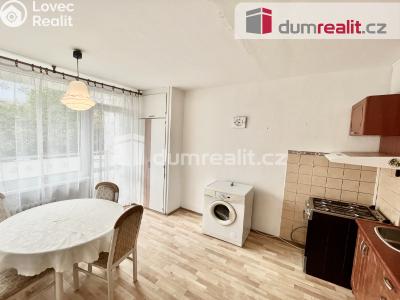 Pronájem bytu 1+1 Ústí nad Labem, Sibiřská 370 č. 3