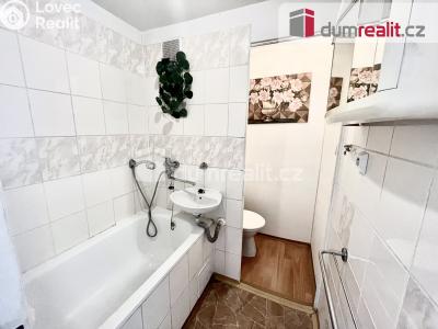 Pronájem bytu 1+1 Ústí nad Labem, Sibiřská 370 č. 13