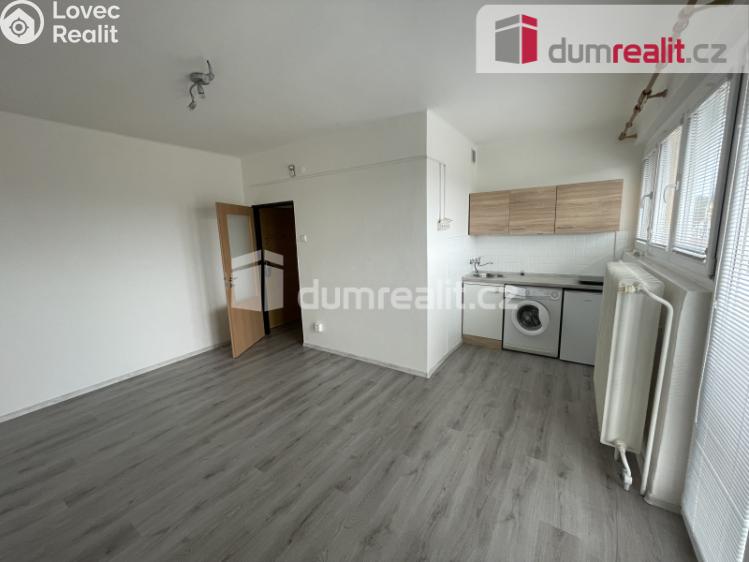 Pronájem bytu 1+KK Příbram, Riegrova 54 č. 4