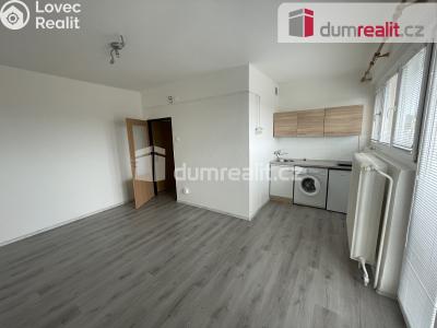 Pronájem bytu 1+KK Příbram, Riegrova 54 č. 4