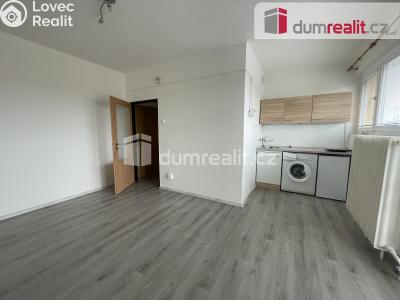 Pronájem bytu 1+KK Příbram, Riegrova 54 č. 6