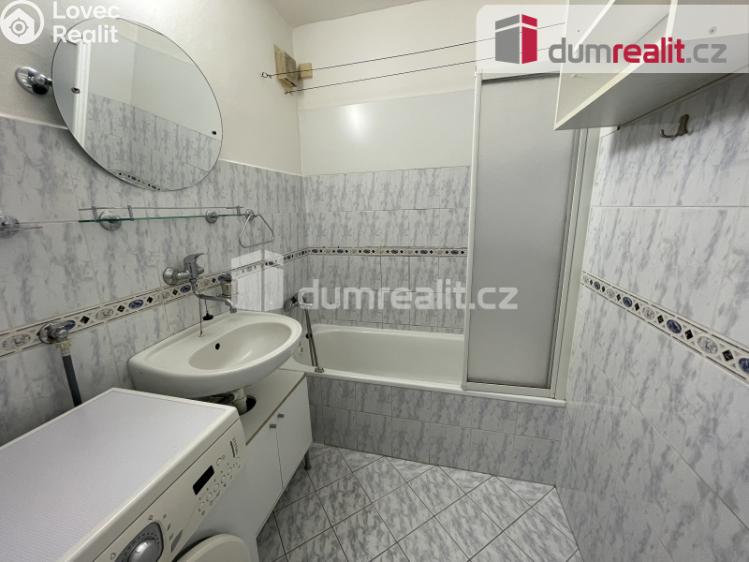 Pronájem bytu 2+1 Příbram, Čechovská 111 č. 1