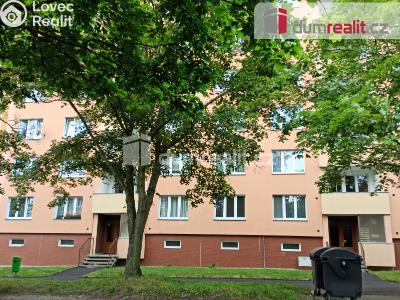 Prodej bytu 1+KK Ostrov, Kollárova 1268 č. 2