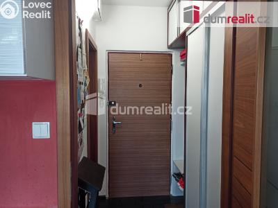 Prodej bytu 1+KK Ostrov, Kollárova 1268 č. 12