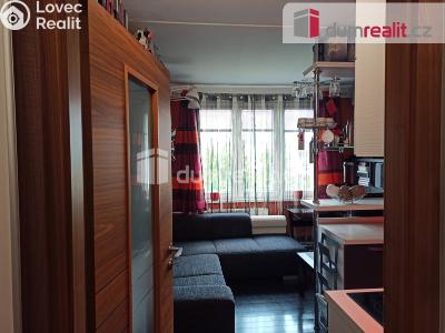 Prodej bytu 1+KK Ostrov, Kollárova 1268 č. 13