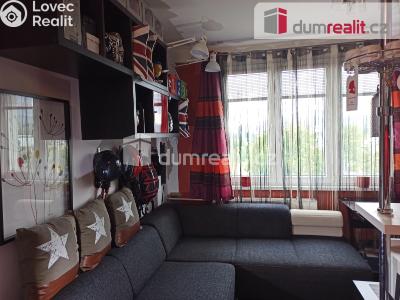 Prodej bytu 1+KK Ostrov, Kollárova 1268 č. 15