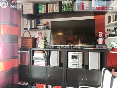 Prodej bytu 1+KK Ostrov, Kollárova 1268 č. 18