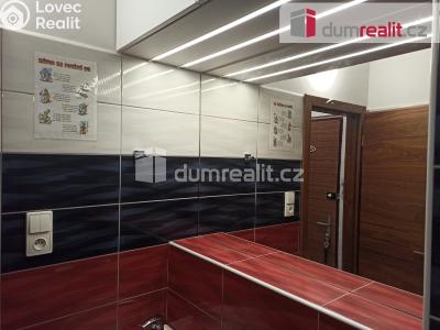 Prodej bytu 1+KK Ostrov, Kollárova 1268 č. 24