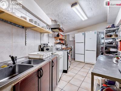 Prodej komerční nemovitosti Dalovice, Příční 175 č. 16