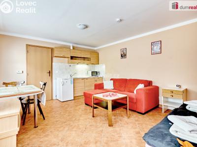 Prodej komerční nemovitosti Dalovice, Příční 175 č. 21