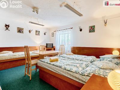 Prodej komerční nemovitosti Dalovice, Příční 175 č. 28