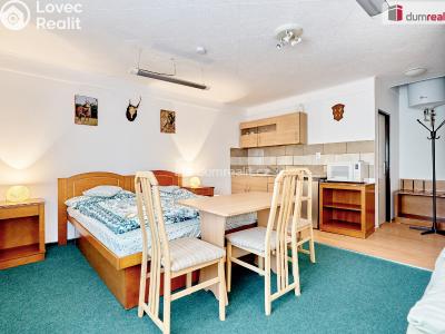 Prodej komerční nemovitosti Dalovice, Příční 175 č. 29