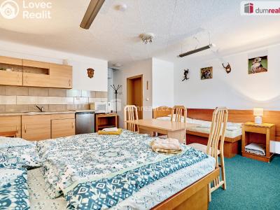 Prodej komerční nemovitosti Dalovice, Příční 175 č. 30