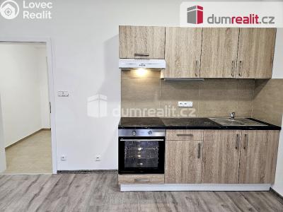 Pronájem bytu 1+KK Plzeň, Barrandova č. 3