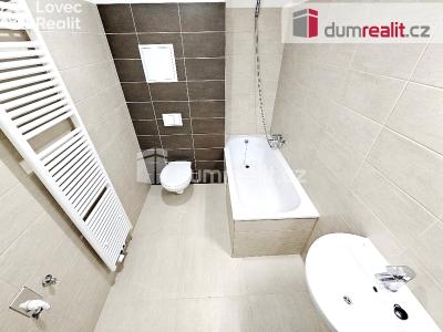 Pronájem bytu 1+KK Plzeň, Barrandova č. 6