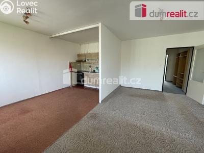 Pronájem bytu 3+1 Příbram, Boční 480 č. 11