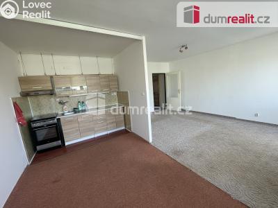 Pronájem bytu 3+1 Příbram, Boční 480 č. 14