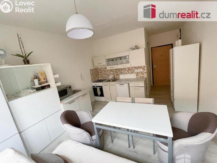 Pronájem bytu 1+1 Ústí nad Labem, Kmochova 3167 č. 1