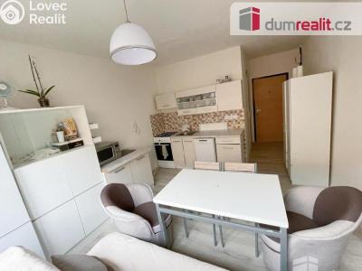 Pronájem bytu 1+1 Ústí nad Labem, Kmochova 3167 č. 1