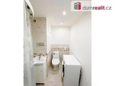 Pronájem bytu 1+1 Ústí nad Labem, Kmochova 3167 č. 4