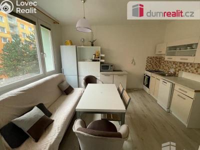 Pronájem bytu 1+1 Ústí nad Labem, Kmochova 3167 č. 2