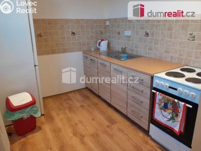 Pronájem bytu 2+1 Ostrov, Severní 1185 č. 12