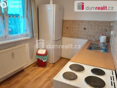 Pronájem bytu 2+1 Ostrov, Severní 1185 č. 13