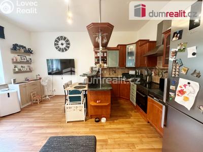 Prodej bytu 3+KK Ústí nad Labem, Palachova 251 č. 3