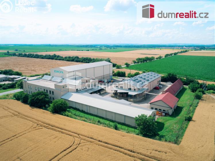 Prodej komerční nemovitosti Velké Němčice, Zádvorník 502 č. 3