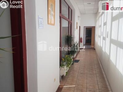 Pronájem kanceláře Brno, Veveří 456 č. 11
