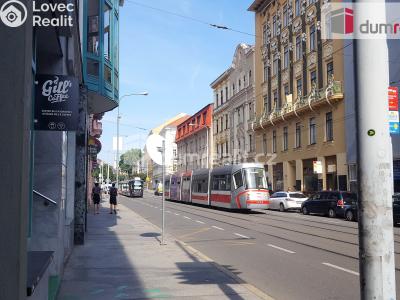 Pronájem kanceláře Brno, Veveří 456 č. 17
