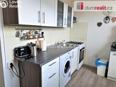 Prodej bytu 2+1 Ústí nad Labem, Na Pile 1151 č. 3