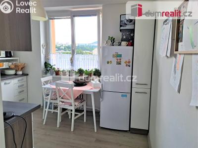 Prodej bytu 2+1 Ústí nad Labem, Na Pile 1151 č. 6