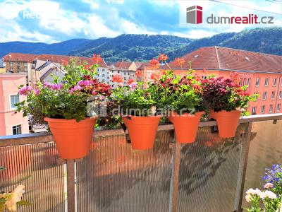 Prodej bytu 2+1 Ústí nad Labem, Na Pile 1151 č. 10