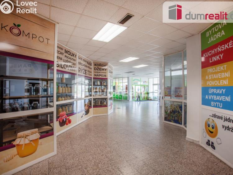 Pronájem komerční nemovitosti České Budějovice, Fr. Ondříčka 417 č. 5