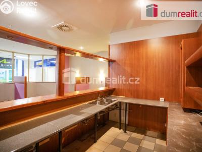 Pronájem komerční nemovitosti České Budějovice, Fr. Ondříčka 417 č. 2